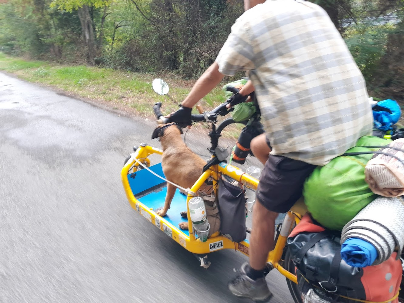 a bike with clothing, food, a tent, and a dog