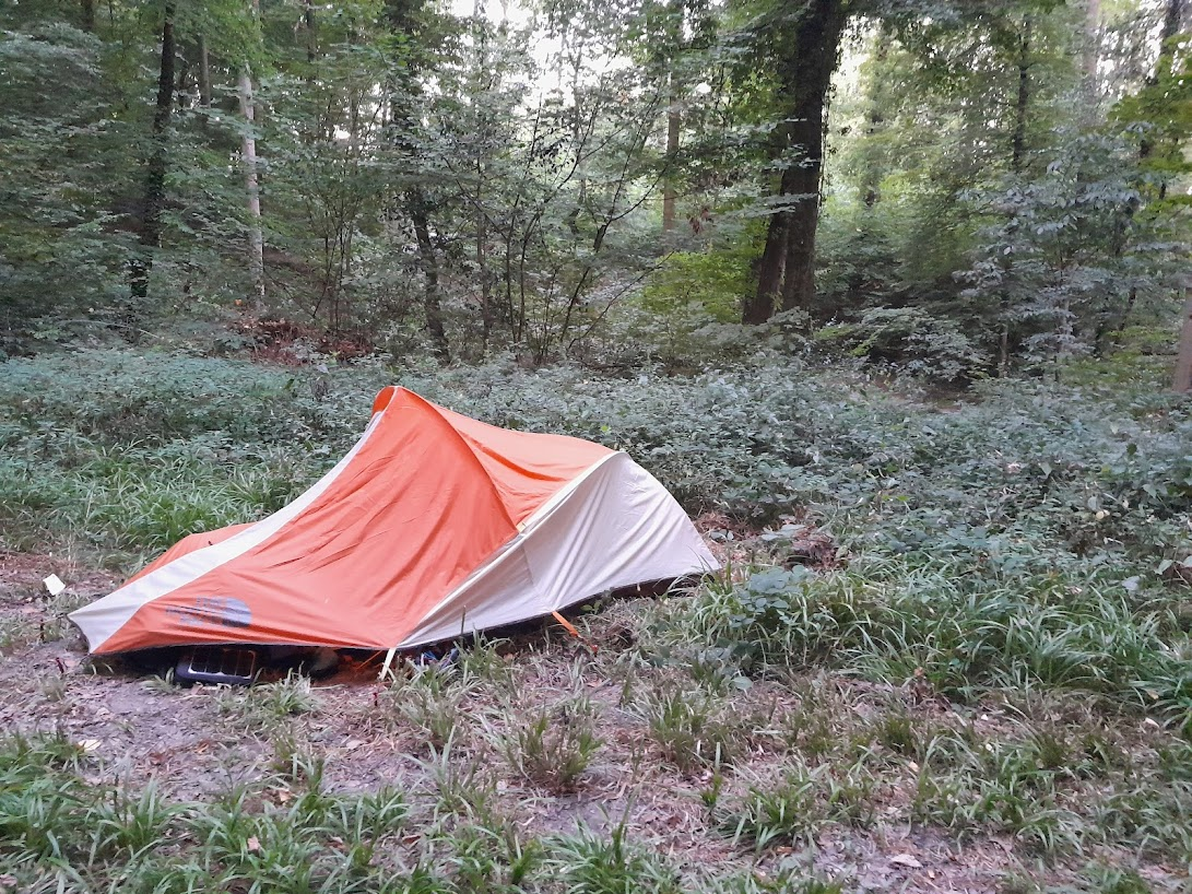 I slept in a bit, since the sunrise was blocked by the trees